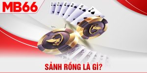 Sảnh Rồng Là Gì Cùng Những Thông Tin Thú Vị Xung Quanh